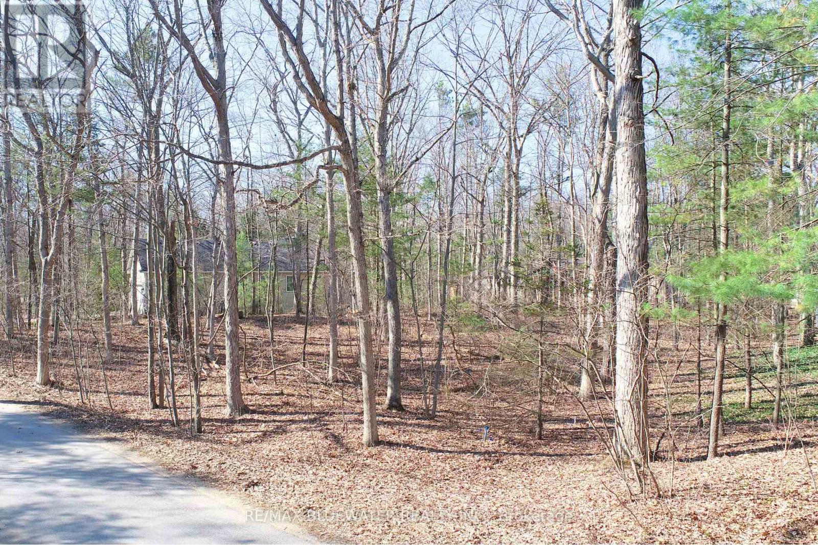 10296 Grand Oaks Drive, Lambton Shores, Ontario  N0M 1T0 - Photo 10 - X12996956