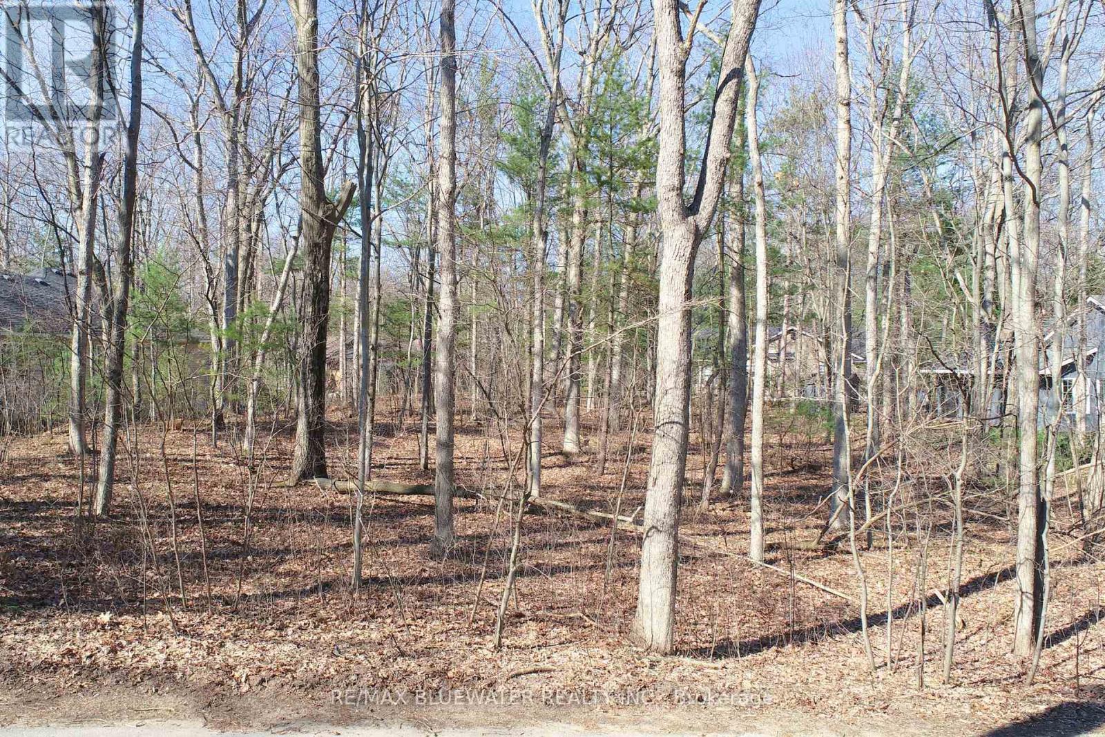 10296 Grand Oaks Drive, Lambton Shores, Ontario  N0M 1T0 - Photo 11 - X12996956