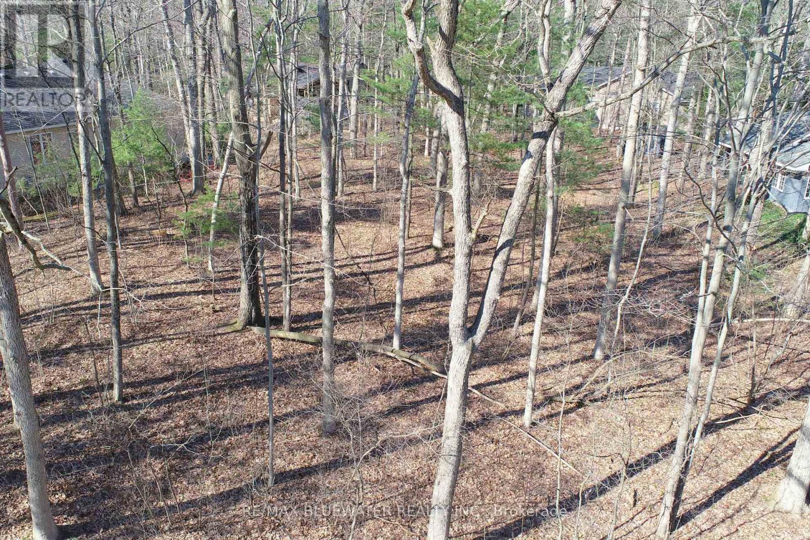 10296 Grand Oaks Drive, Lambton Shores, Ontario  N0M 1T0 - Photo 12 - X12996956