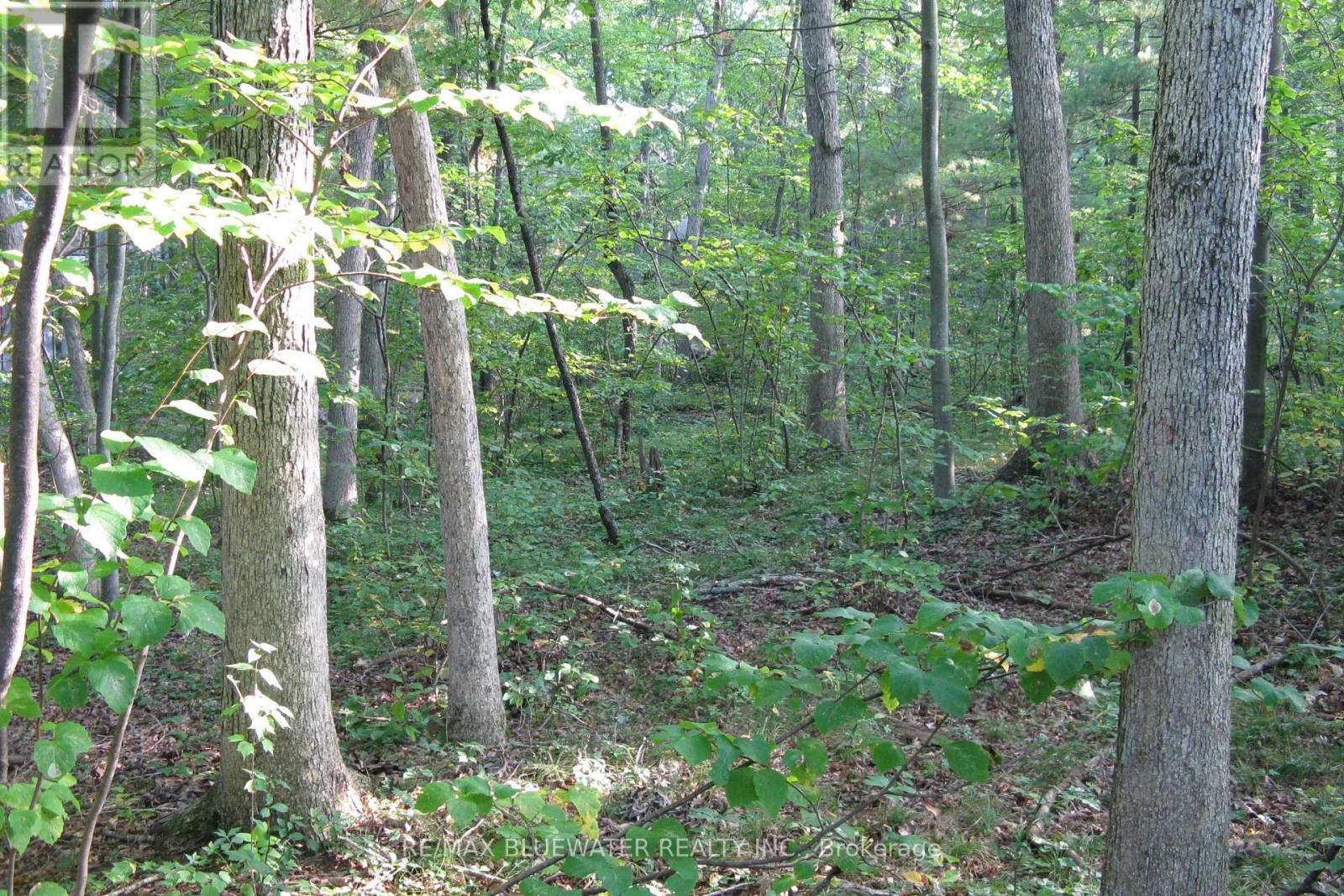 10296 Grand Oaks Drive, Lambton Shores, Ontario  N0M 1T0 - Photo 13 - X12996956