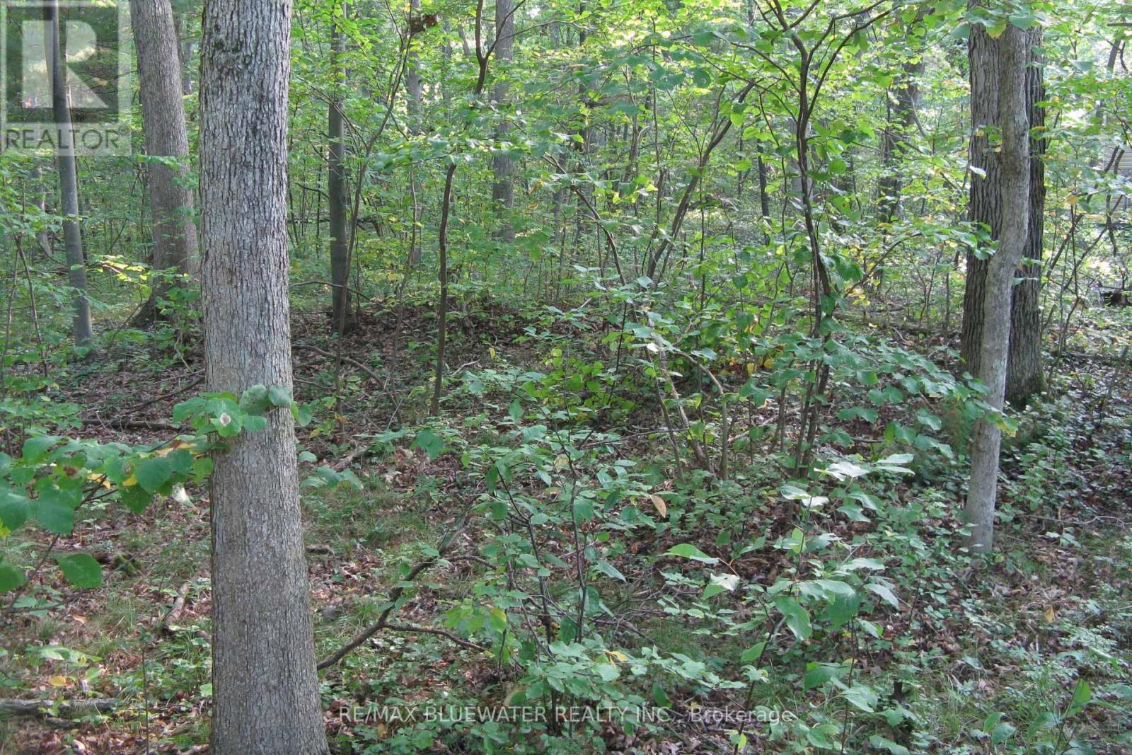 10296 Grand Oaks Drive, Lambton Shores, Ontario  N0M 1T0 - Photo 14 - X12996956