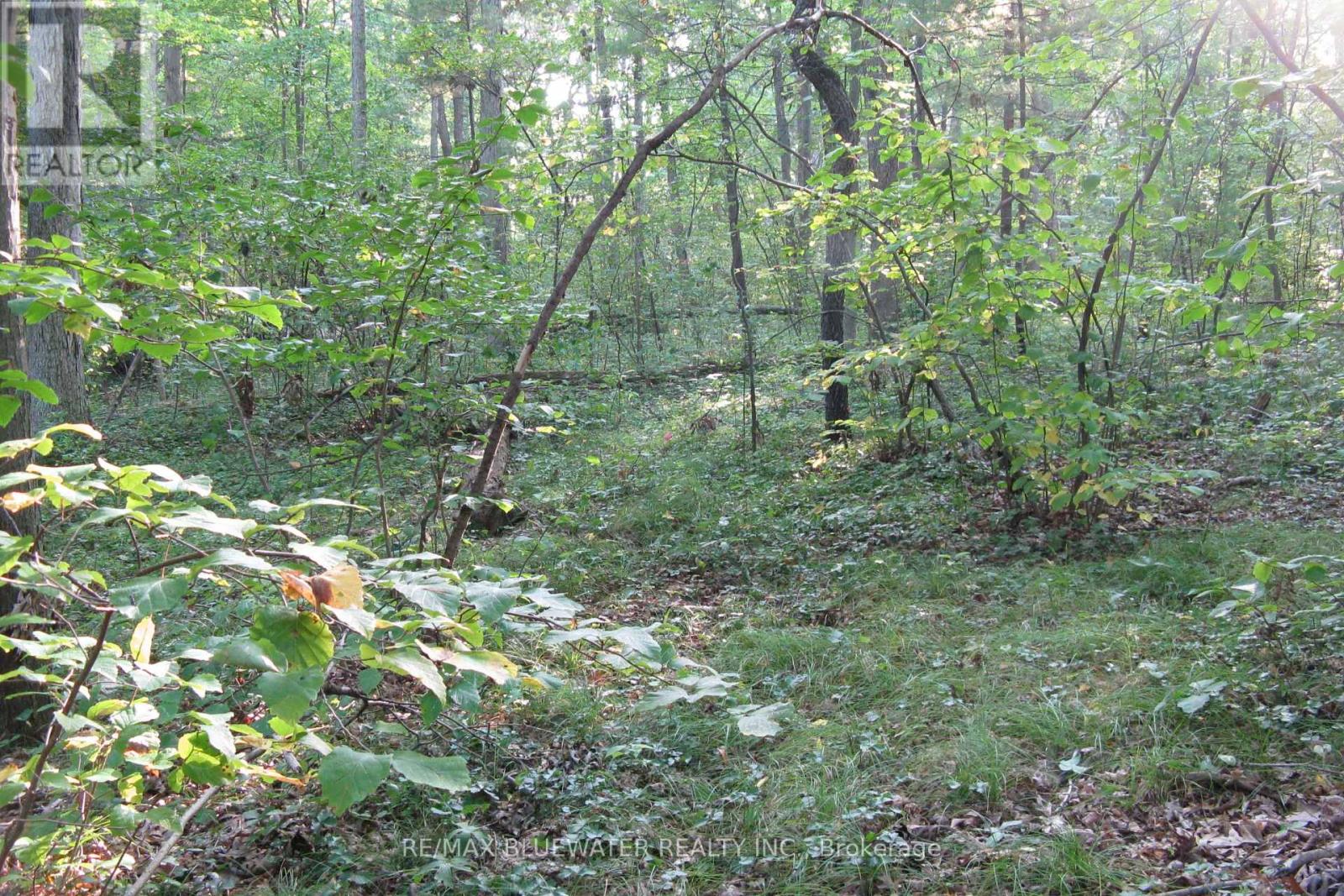 10296 Grand Oaks Drive, Lambton Shores, Ontario  N0M 1T0 - Photo 15 - X12996956