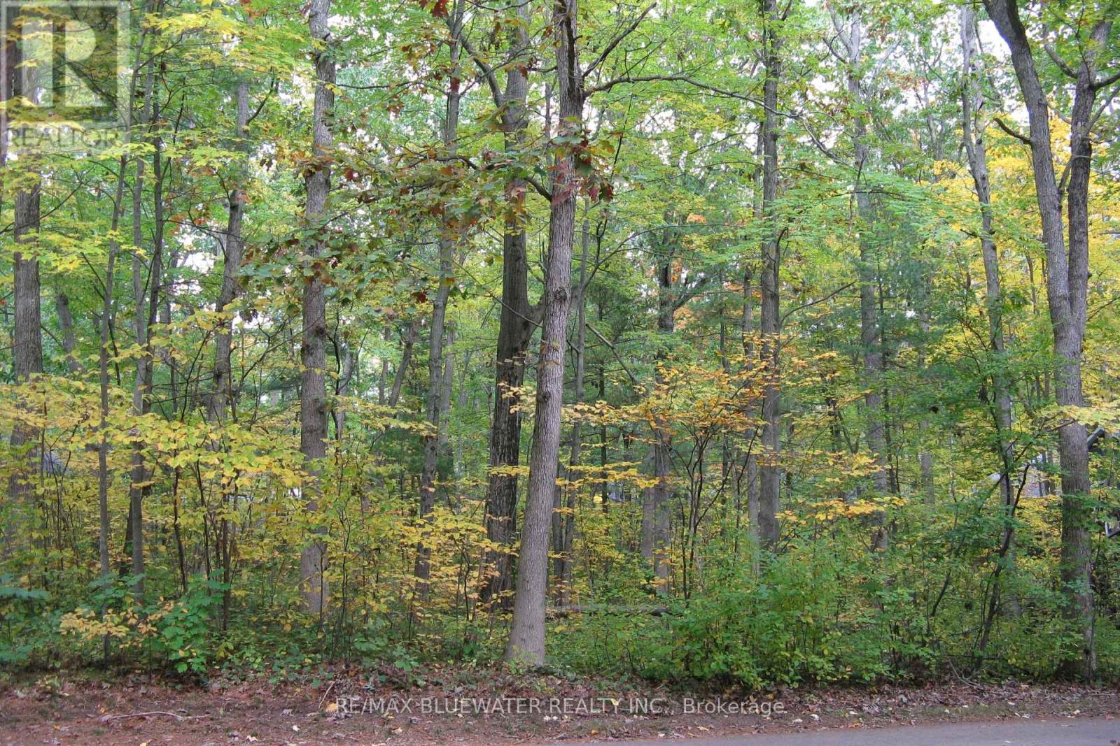 10296 Grand Oaks Drive, Lambton Shores, Ontario  N0M 1T0 - Photo 16 - X12996956