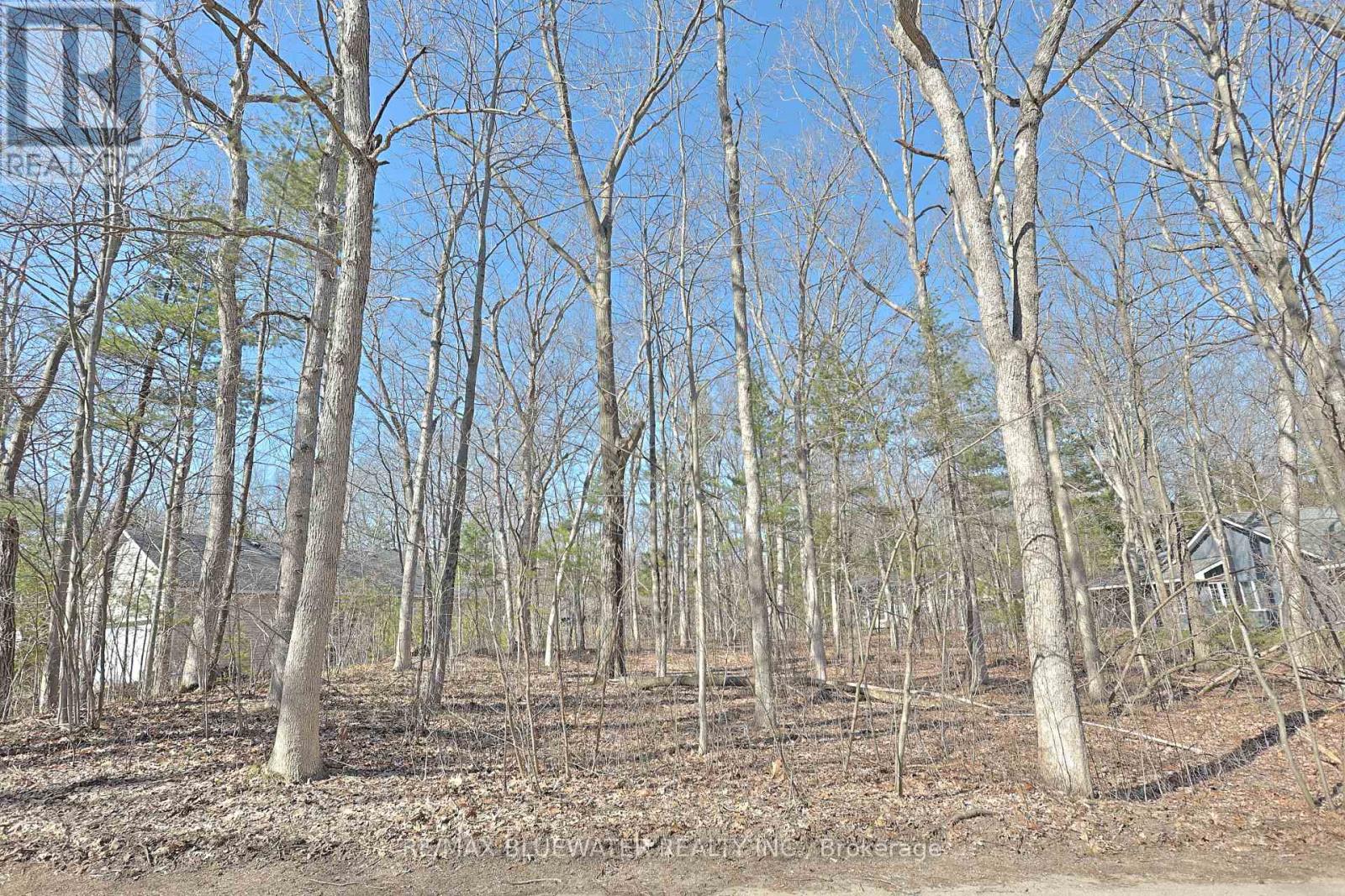 10296 Grand Oaks Drive, Lambton Shores, Ontario  N0M 1T0 - Photo 2 - X12996956