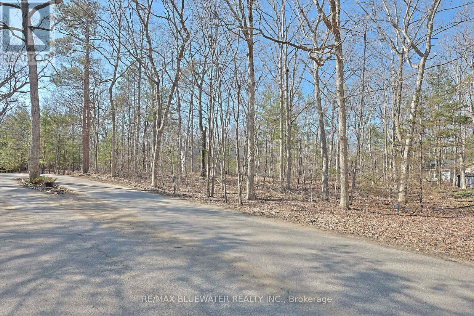 10296 Grand Oaks Drive, Lambton Shores, Ontario  N0M 1T0 - Photo 6 - X12996956