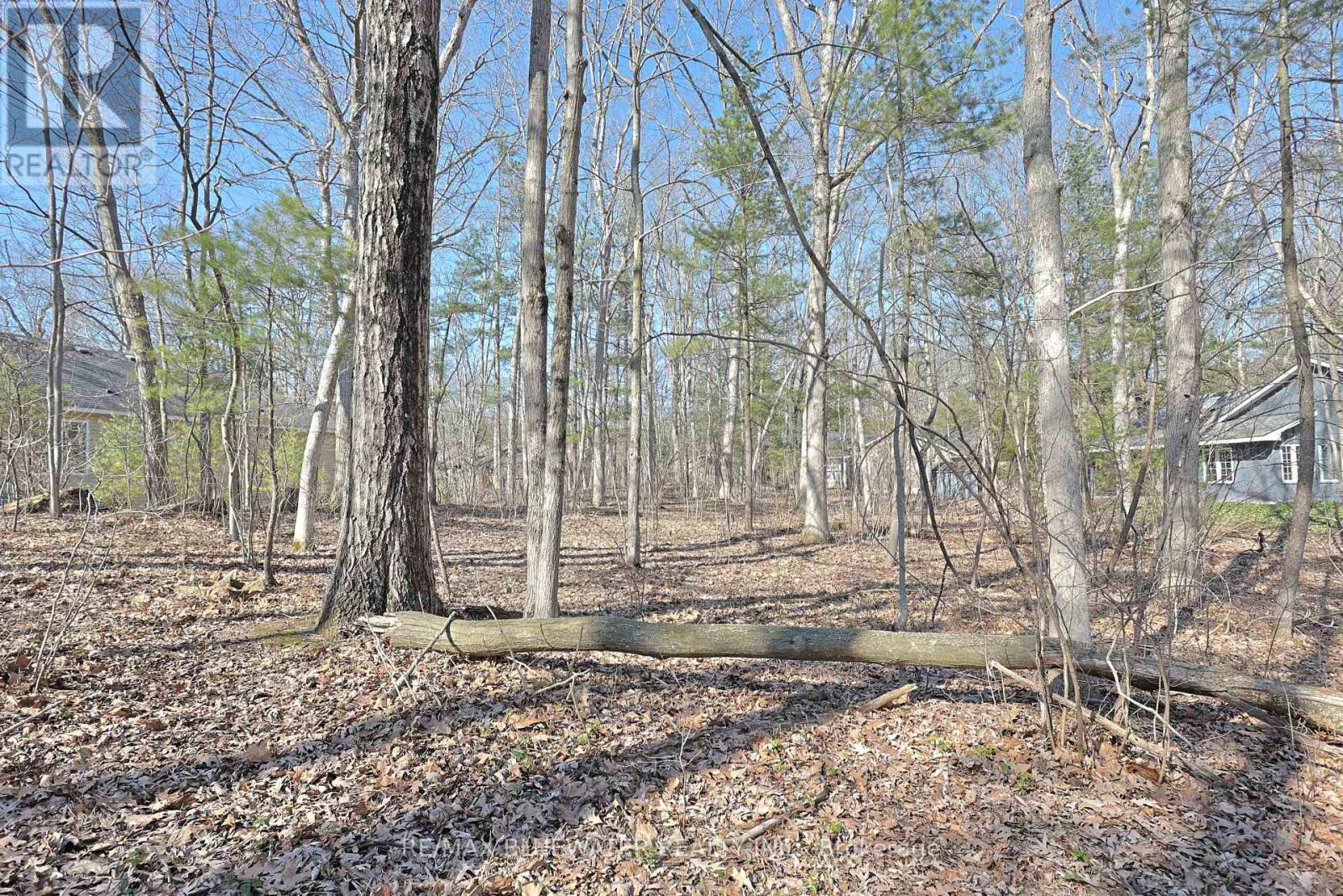 10296 Grand Oaks Drive, Lambton Shores, Ontario  N0M 1T0 - Photo 7 - X12996956