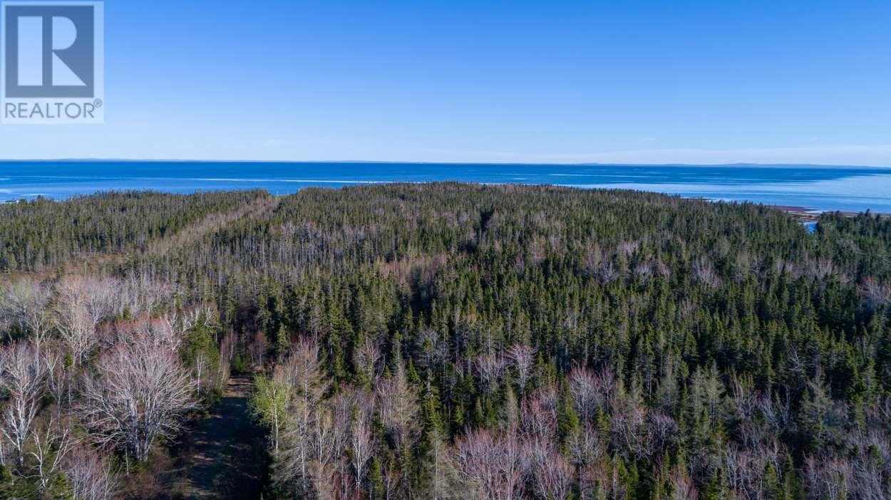 Acreage Shore Road, Wood Islands, Prince Edward Island  C0A 1B0 - Photo 3 - 202607356