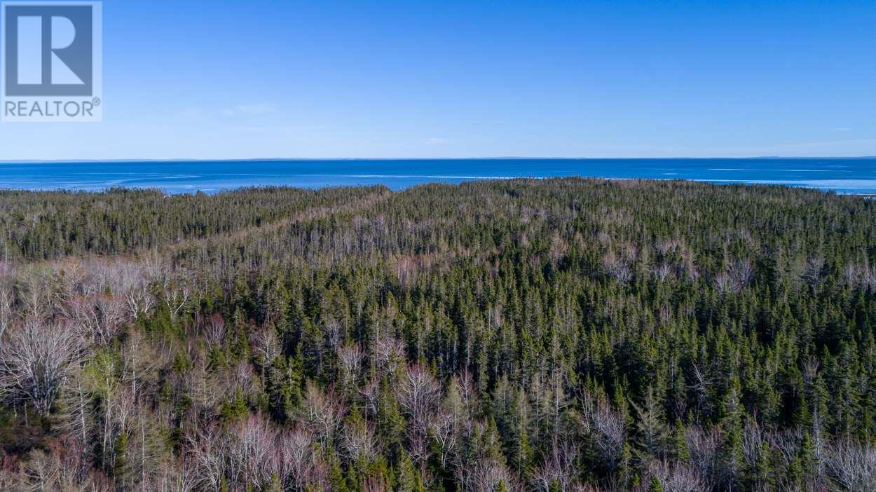 Acreage Shore Road, Wood Islands, Prince Edward Island  C0A 1B0 - Photo 4 - 202607356