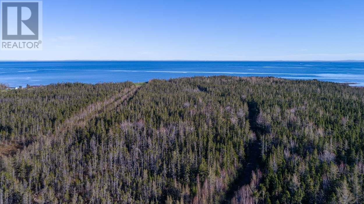 Acreage Shore Road, Wood Islands, Prince Edward Island  C0A 1B0 - Photo 5 - 202607356