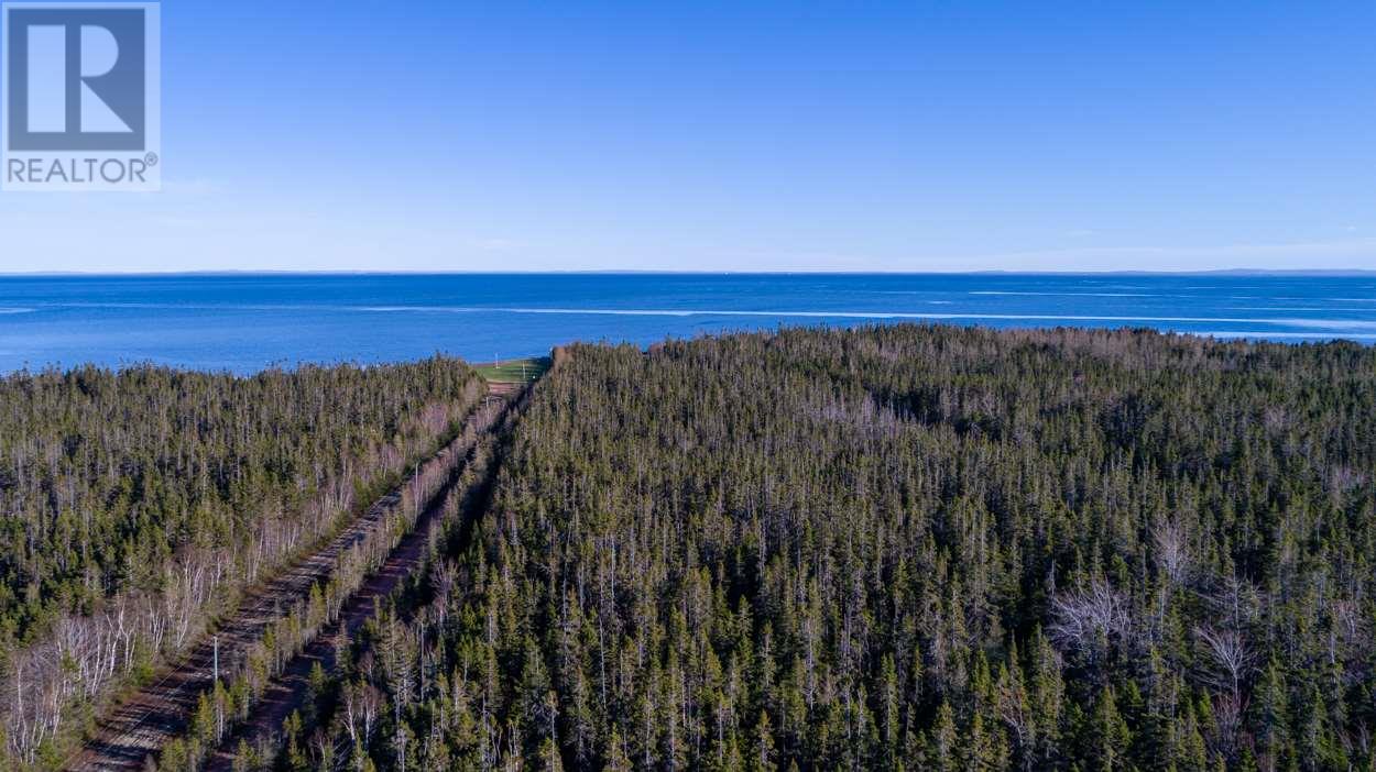 Acreage Shore Road, Wood Islands, Prince Edward Island  C0A 1B0 - Photo 6 - 202607356