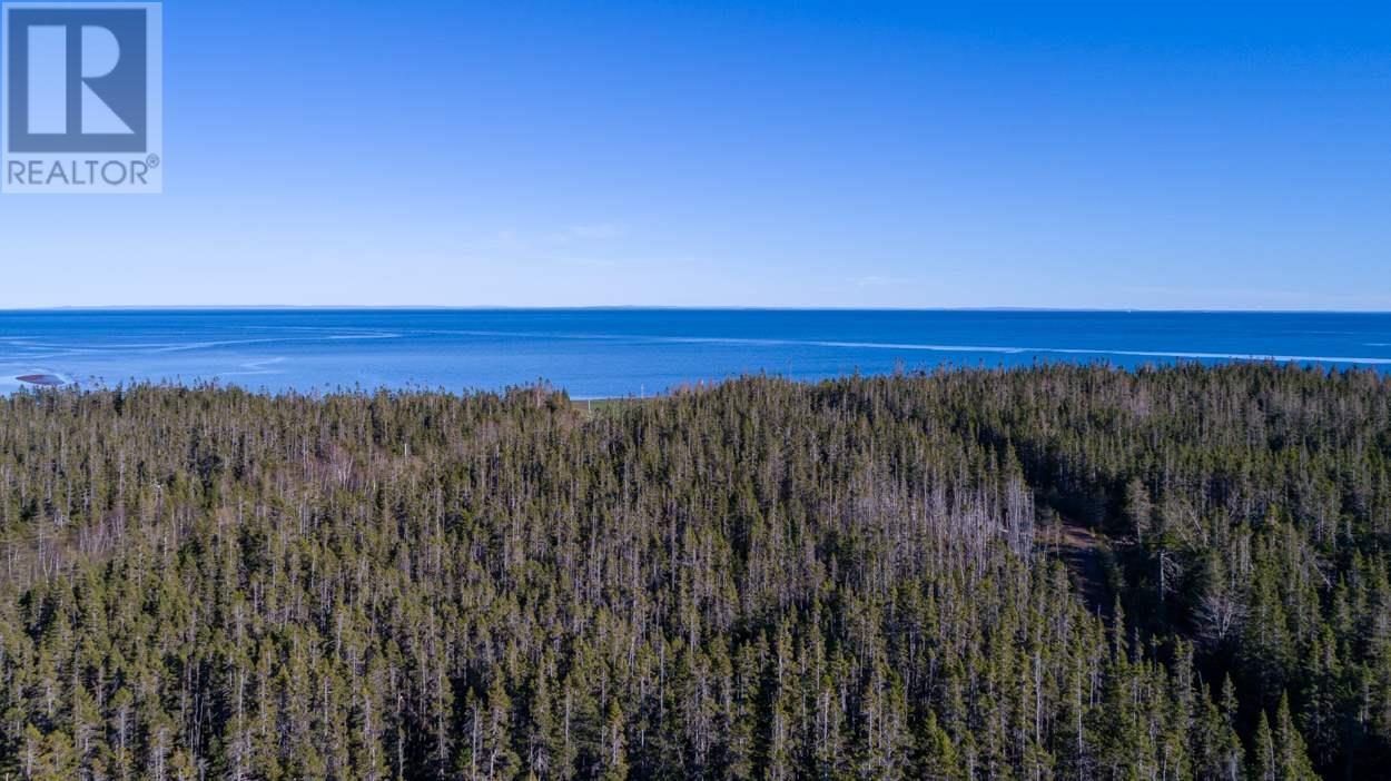 Acreage Shore Road, Wood Islands, Prince Edward Island  C0A 1B0 - Photo 8 - 202607356