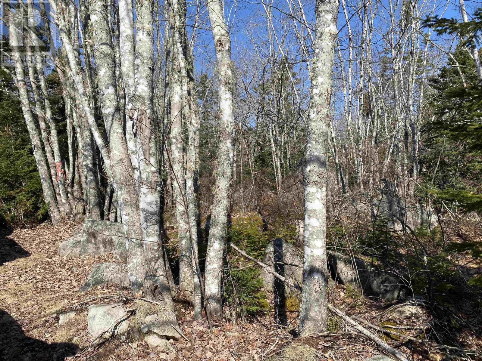 Lot 76 Sunset Road, Port Mouton, Nova Scotia  B0T 1T0 - Photo 15 - 202604831