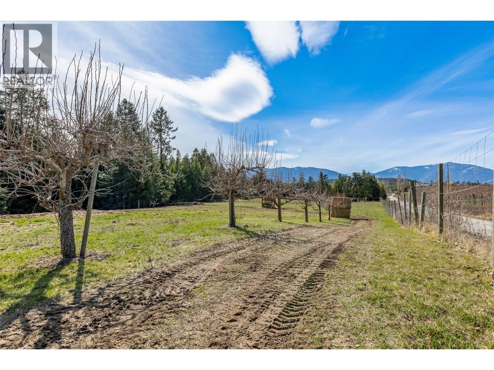 3955 46th Street, Creston, British Columbia  V0B 1C0 - Photo 69 - 10382241