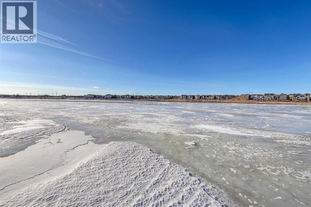 169 Cove Road, Chestermere, Alberta  T1X 1E4 - Photo 45 - A2280837