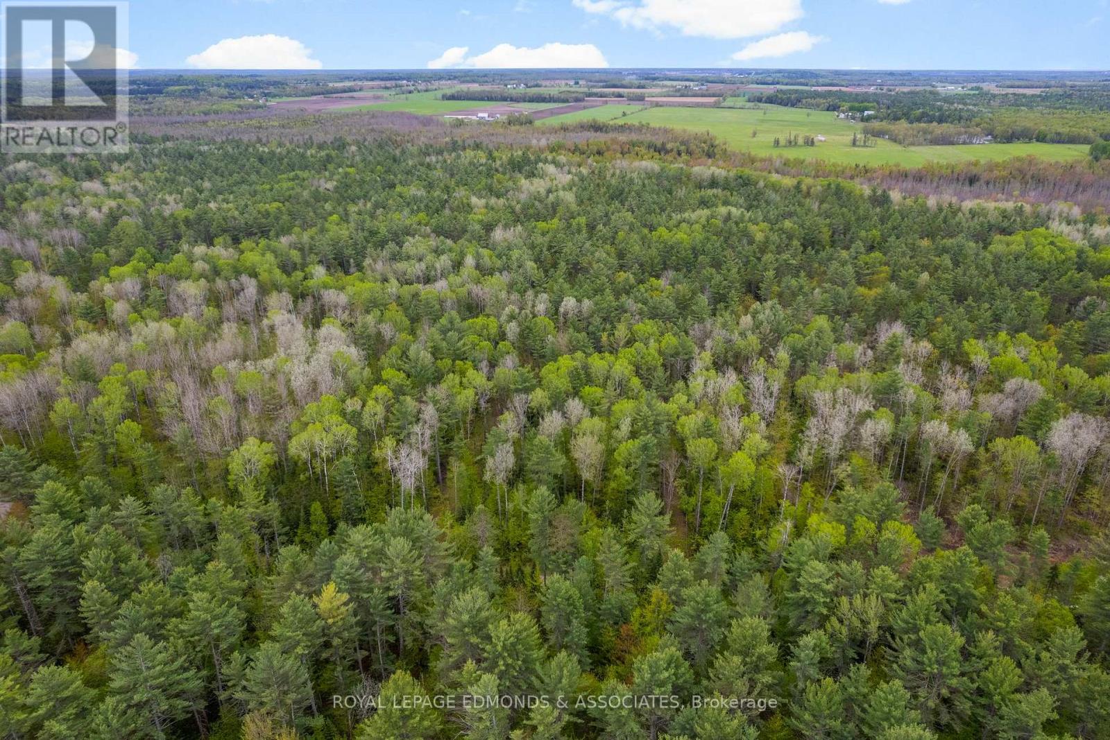 0000 NANGOR TRAIL, Whitewater Region, Ontario
