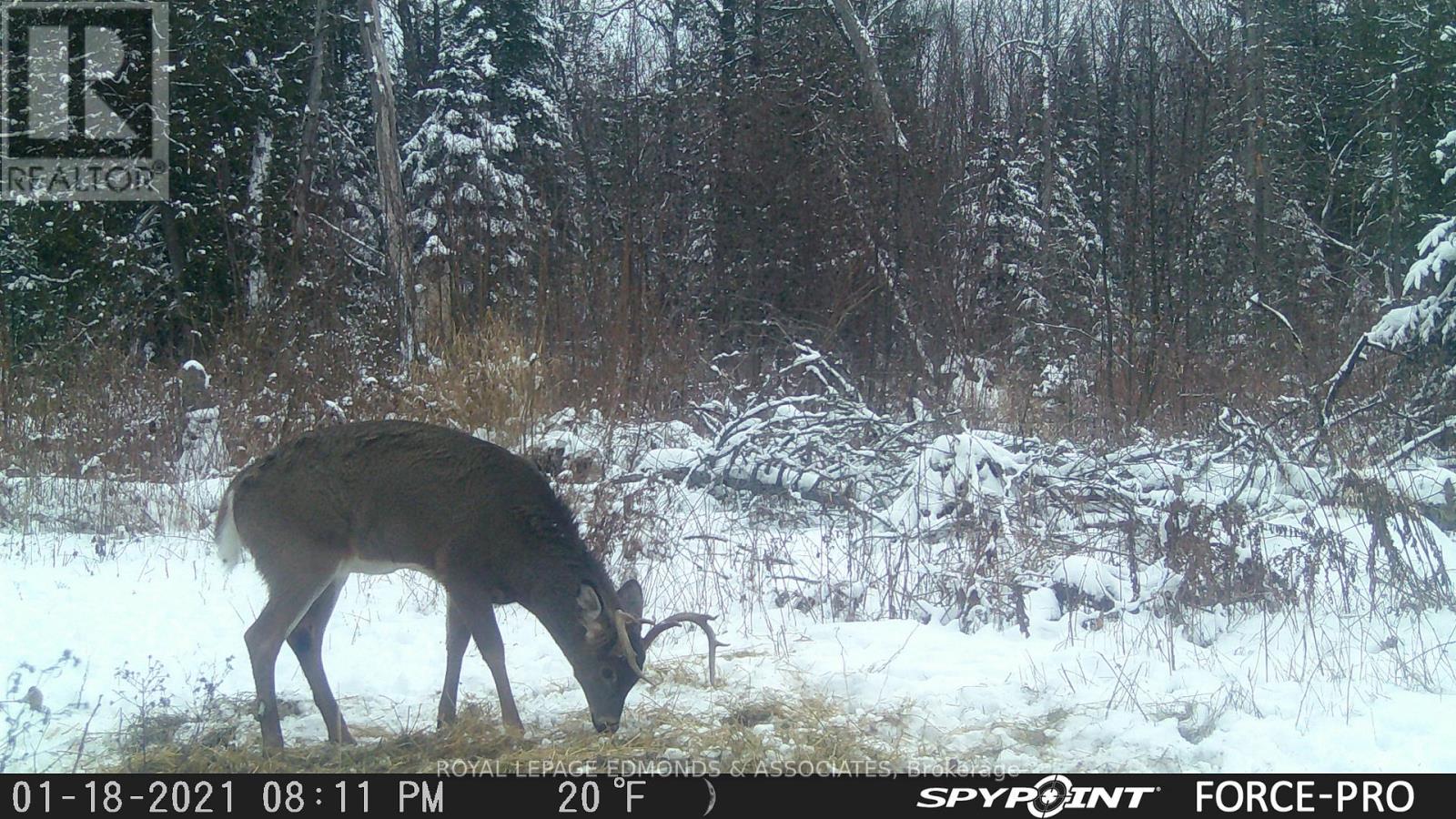 0000 Nangor Trail, Whitewater Region, Ontario K0J 2L0 - Photo 14 - X12997216
