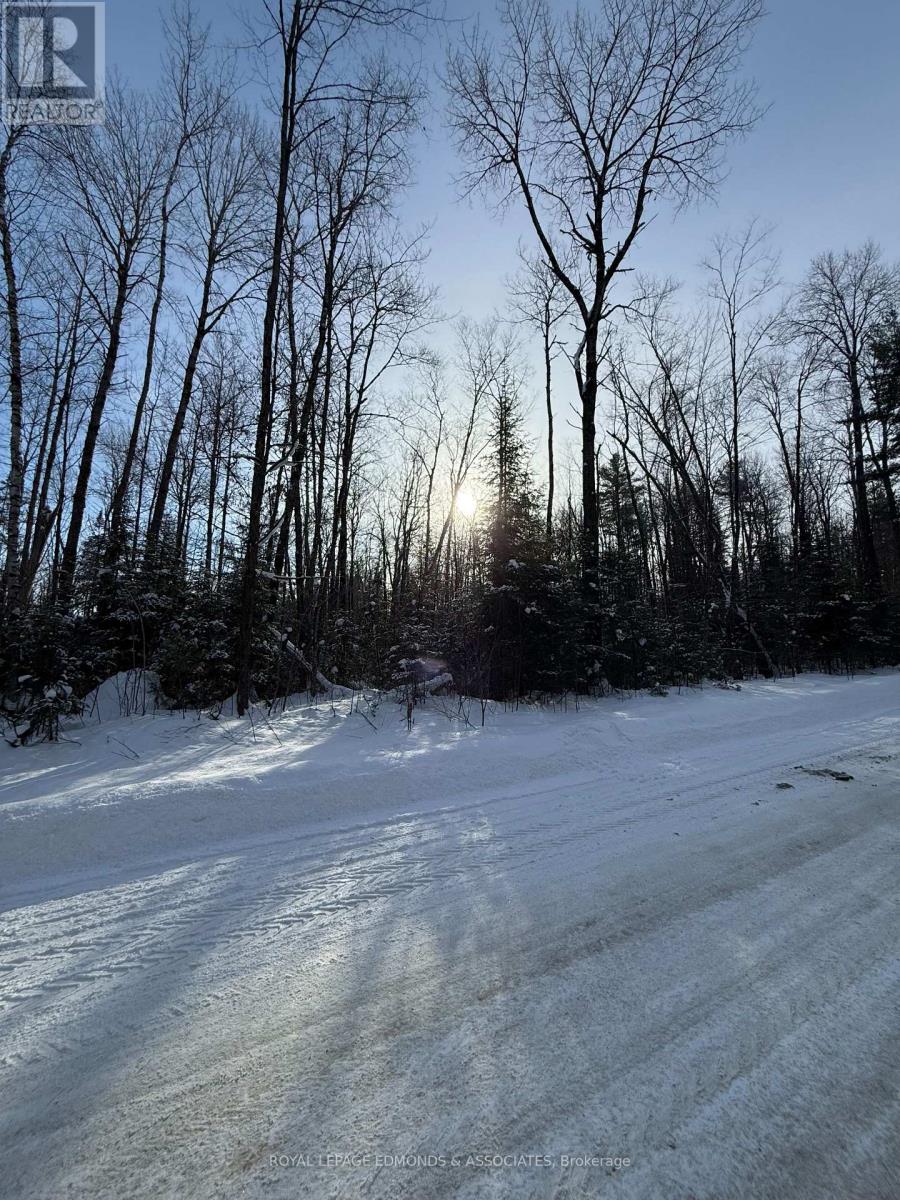 0000 Nangor Trail, Whitewater Region, Ontario K0J 2L0 - Photo 20 - X12997216