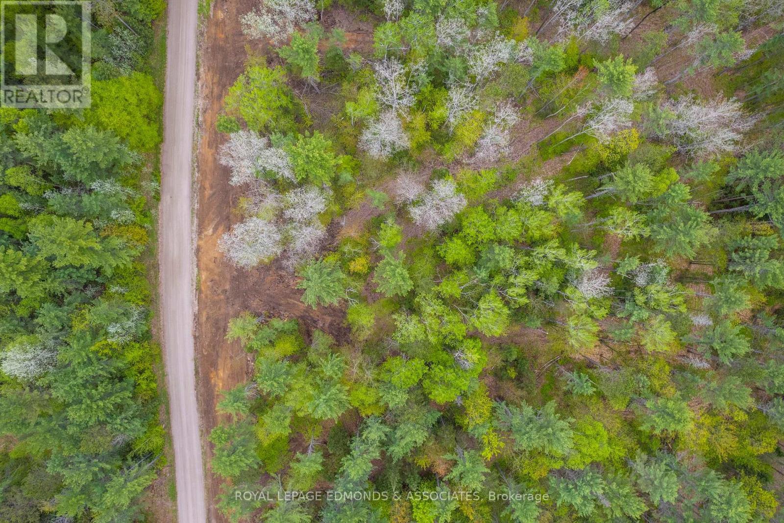 0000 Nangor Trail, Whitewater Region, Ontario K0J 2L0 - Photo 6 - X12997216