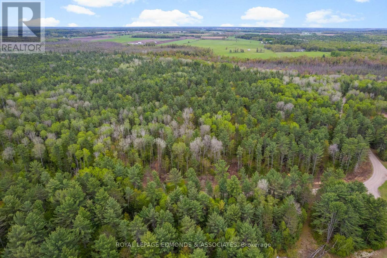 0000 Nangor Trail, Whitewater Region, Ontario K0J 2L0 - Photo 9 - X12997216