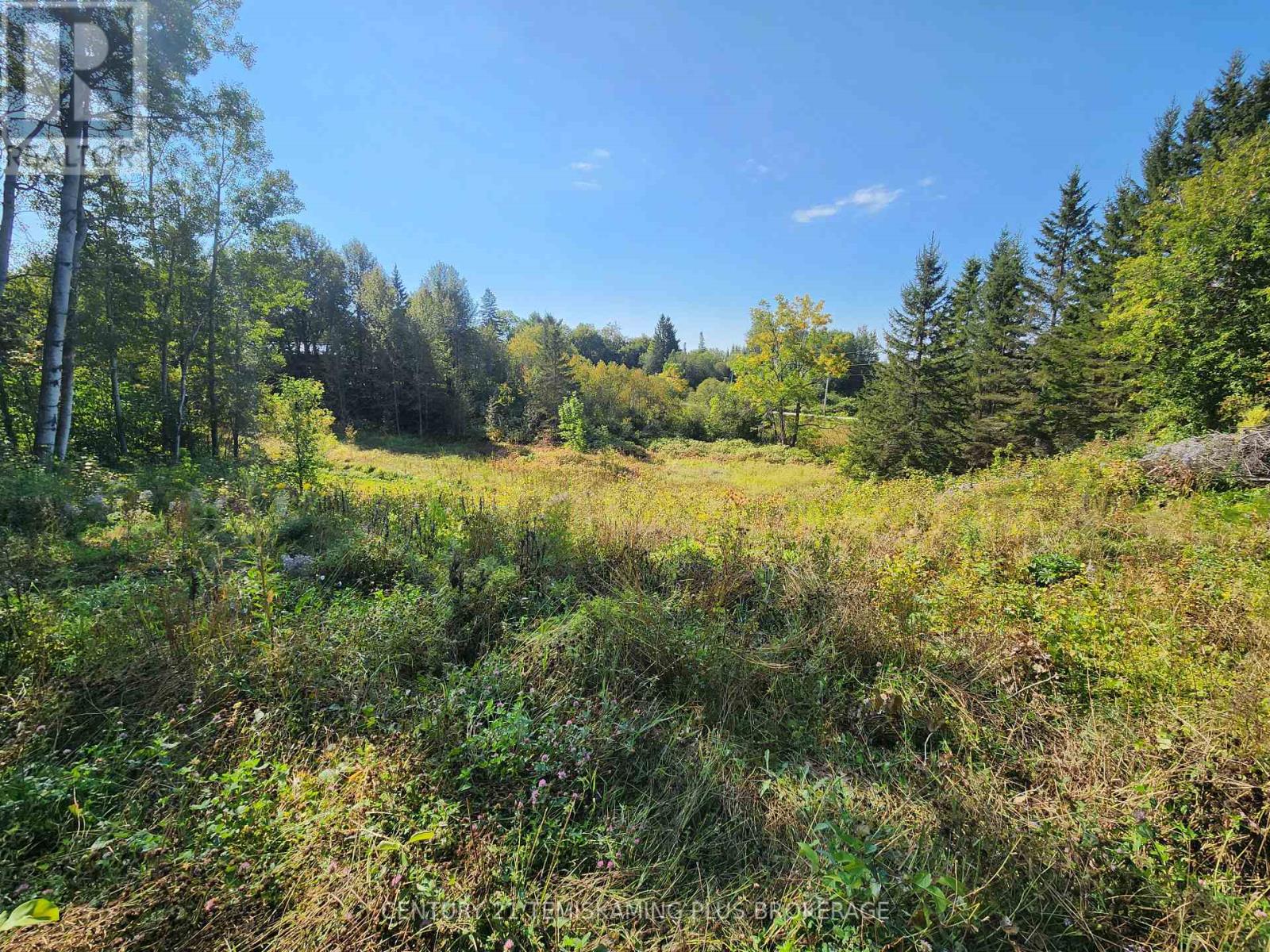 Lt 7-9 Main Street, Englehart, Ontario  P0J 1B0 - Photo 11 - T12997196