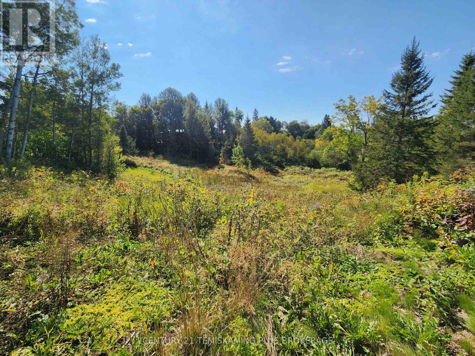 Lt 7-9 Main Street, Englehart, Ontario  P0J 1B0 - Photo 13 - T12997196