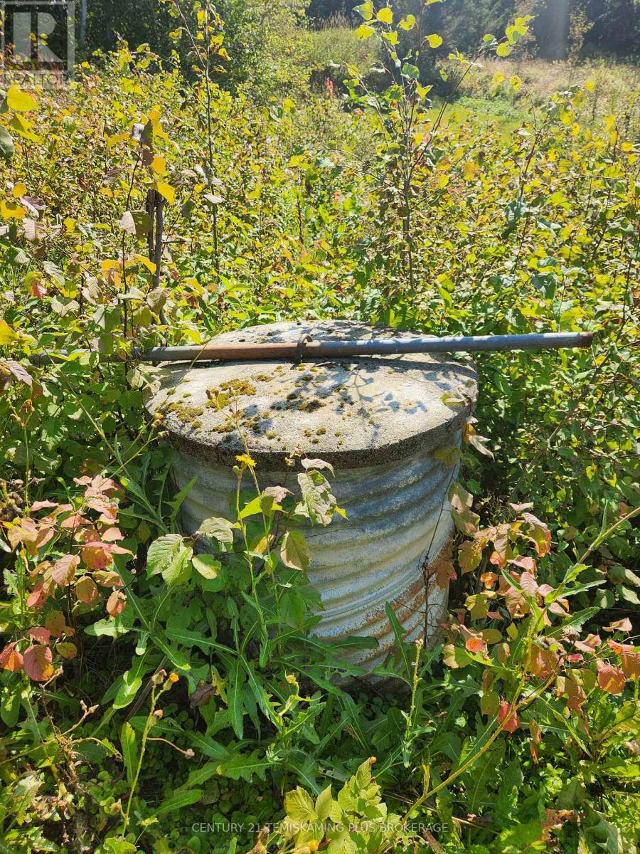 Lt 7-9 Main Street, Englehart, Ontario  P0J 1B0 - Photo 16 - T12997196