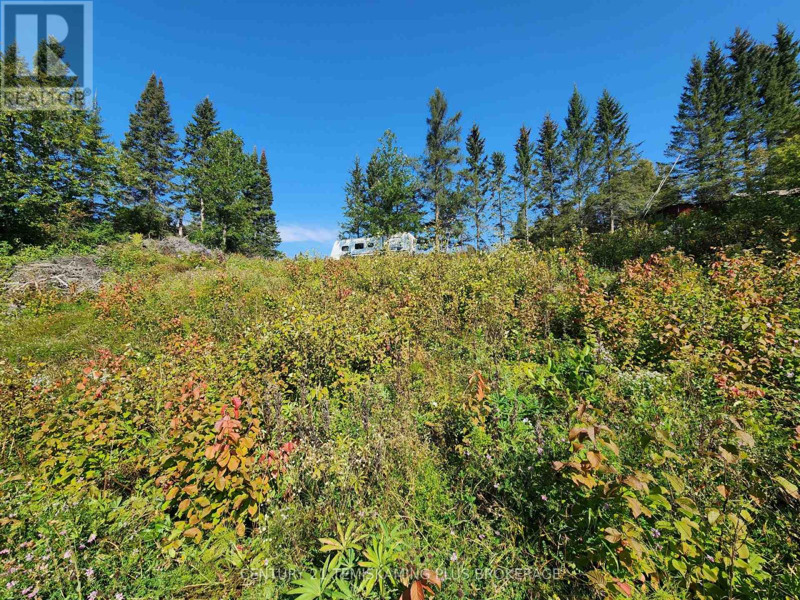 Lt 7-9 Main Street, Englehart, Ontario  P0J 1B0 - Photo 17 - T12997196