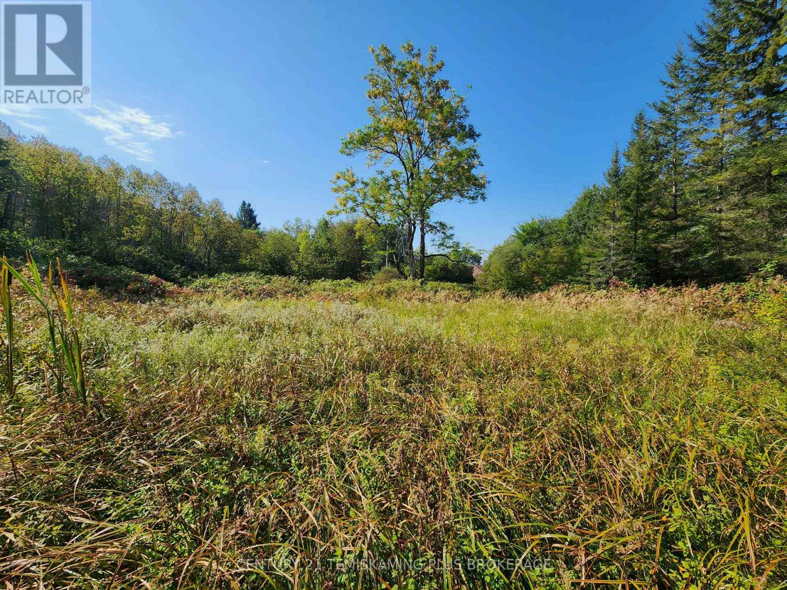 Lt 7-9 Main Street, Englehart, Ontario  P0J 1B0 - Photo 19 - T12997196