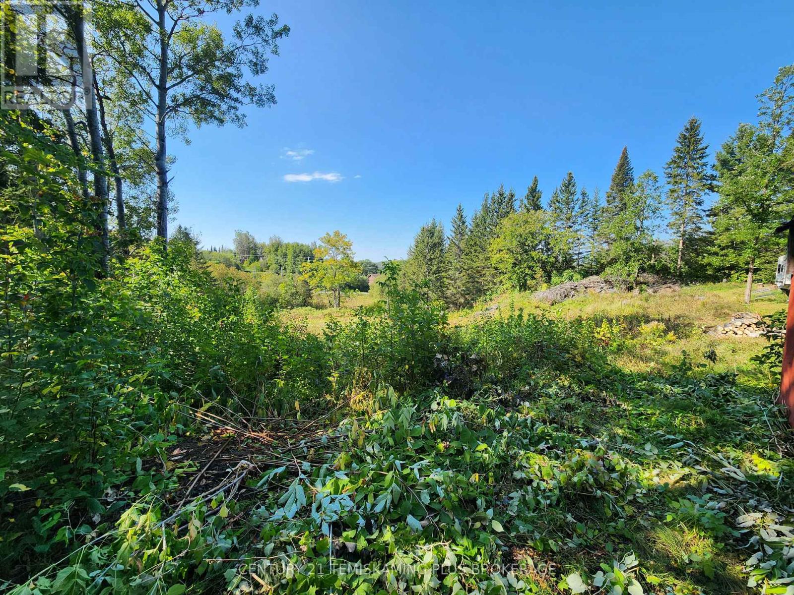 Lt 7-9 Main Street, Englehart, Ontario  P0J 1B0 - Photo 9 - T12997196