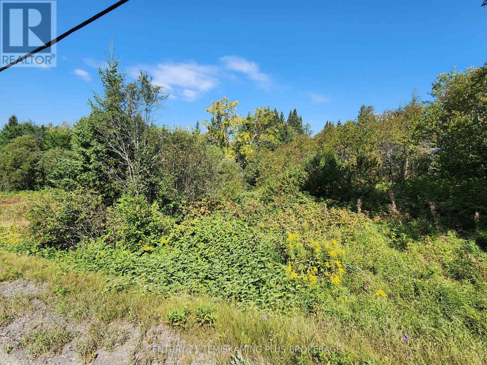 Lt10-12 Main Street, Englehart, Ontario  P0J 1B0 - Photo 12 - T12997204