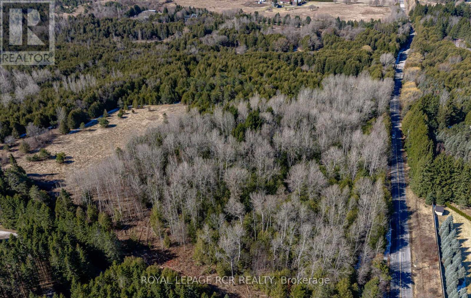 2653 Herald Road, East Gwillimbury, Ontario  L0G 1V0 - Photo 4 - N12997016