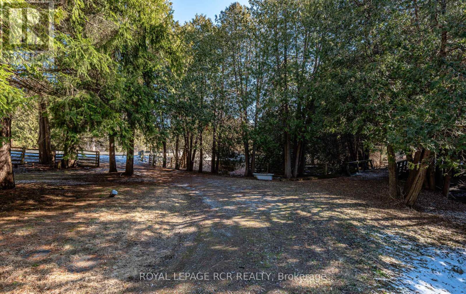 2653 Herald Road, East Gwillimbury, Ontario  L0G 1V0 - Photo 7 - N12997016