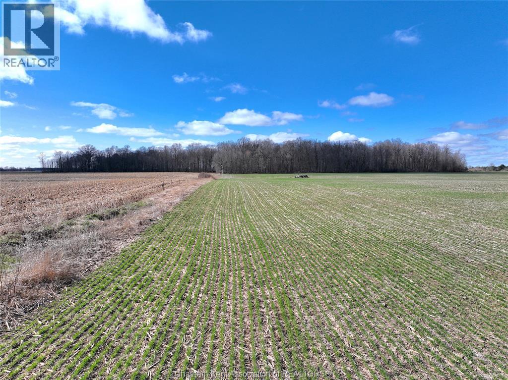 23899 Dundonald Road, Glencoe, Ontario  N0L 1M0 - Photo 9 - 26007552