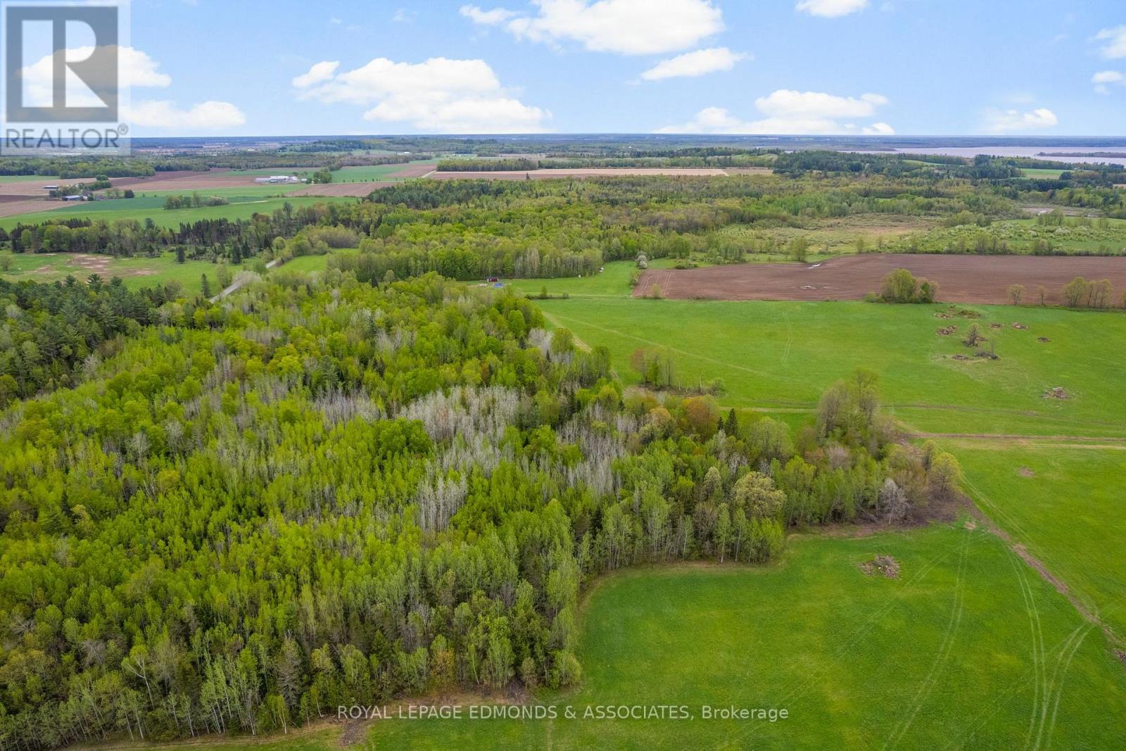 0 Wright Road, Whitewater Region, Ontario K0J 2L0 - Photo 5 - X12997308