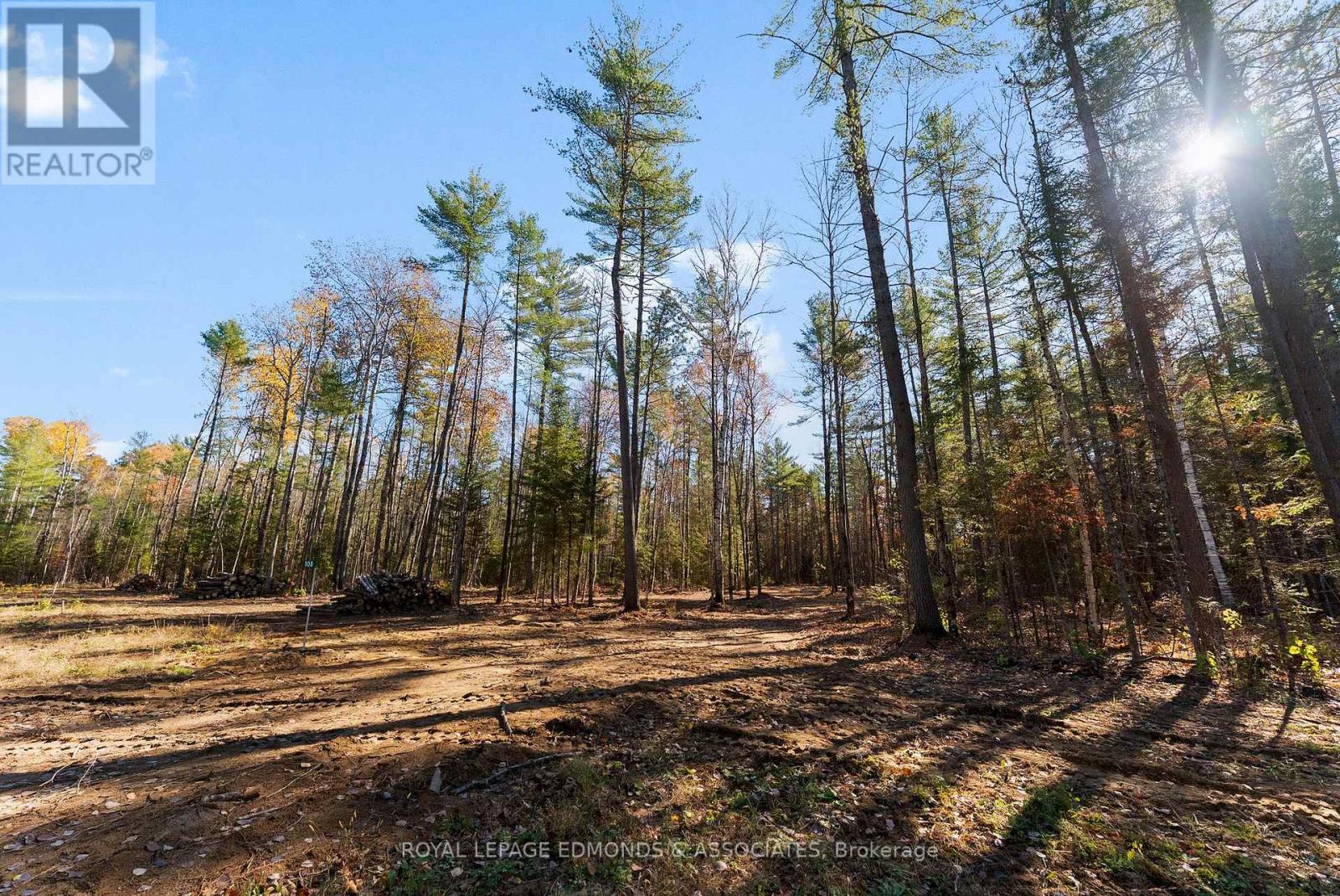 100 Nangor Trail, Whitewater Region, Ontario  K0J 2L0 - Photo 10 - X12997380