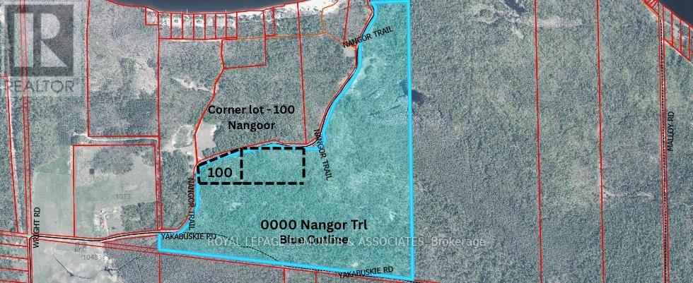 100 Nangor Trail, Whitewater Region, Ontario  K0J 2L0 - Photo 4 - X12997380