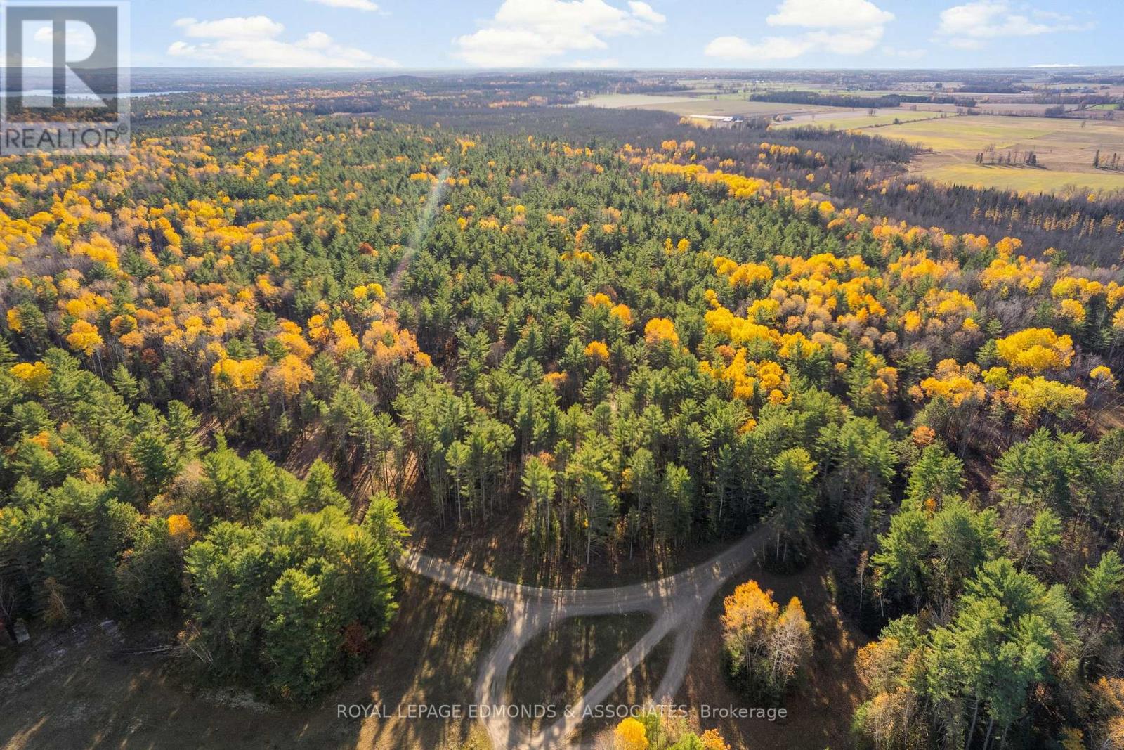 100 Nangor Trail, Whitewater Region, Ontario  K0J 2L0 - Photo 5 - X12997380