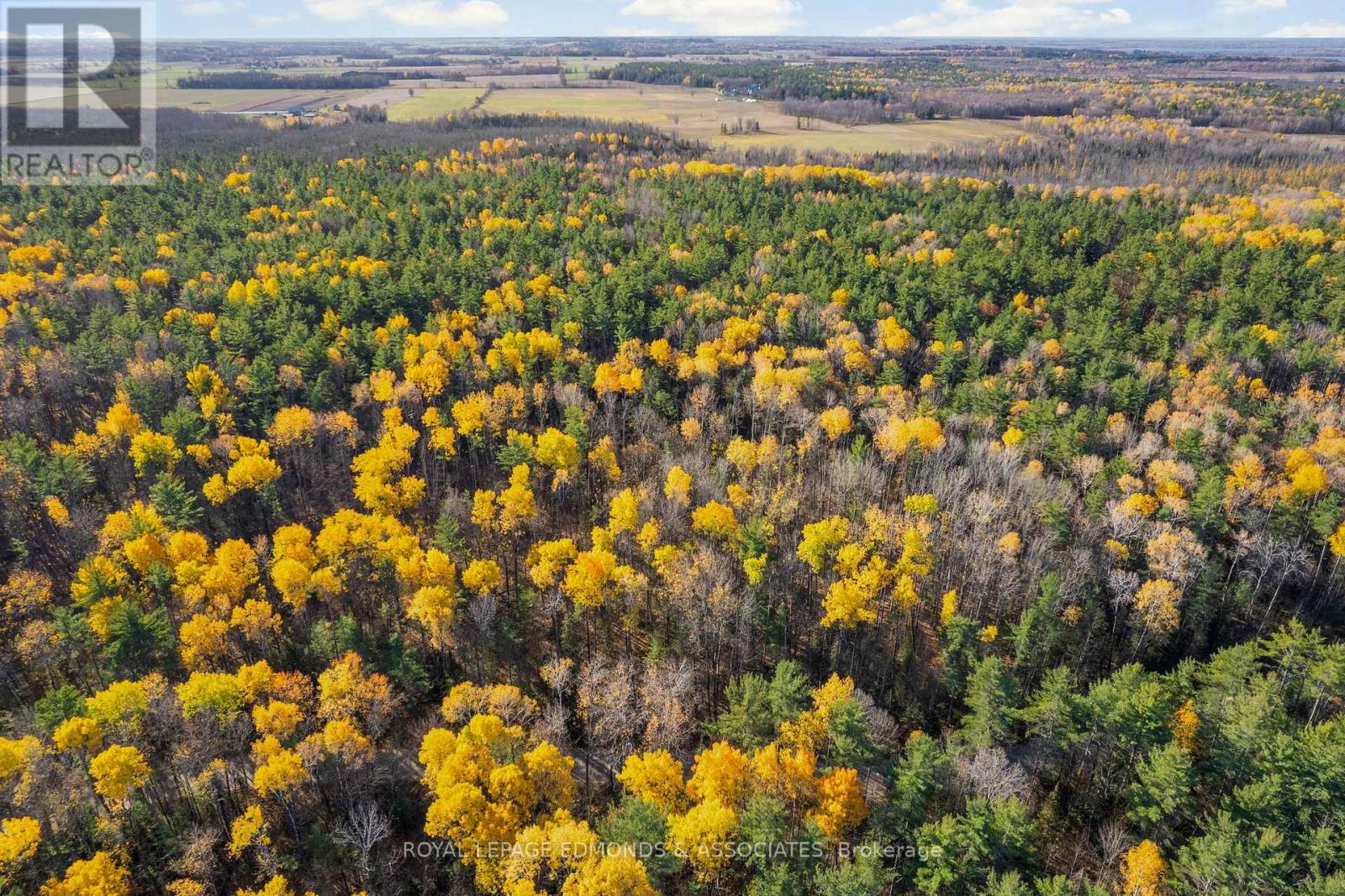 100 Nangor Trail, Whitewater Region, Ontario  K0J 2L0 - Photo 6 - X12997380