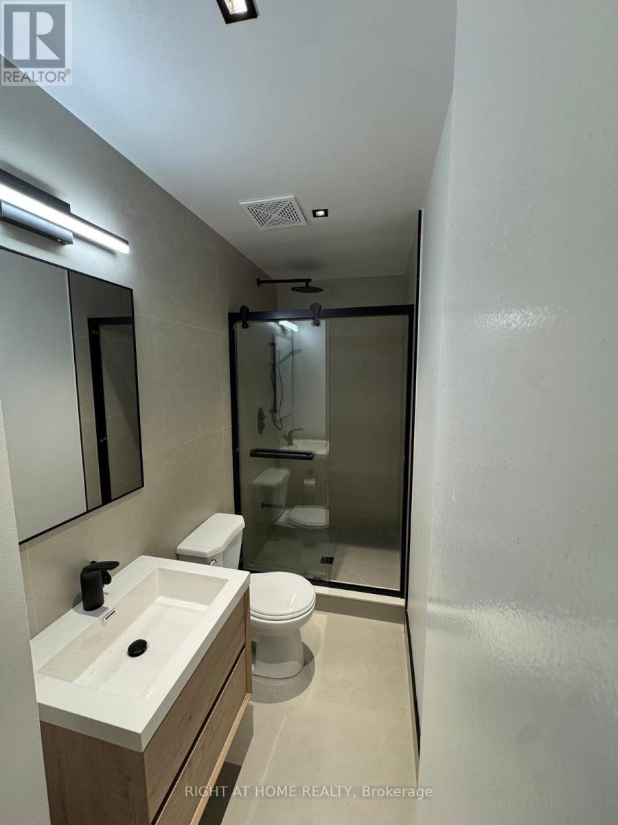 305 - 32 Stewart Street, Toronto, Ontario M5V 1H6 - Photo 9 - C12695810