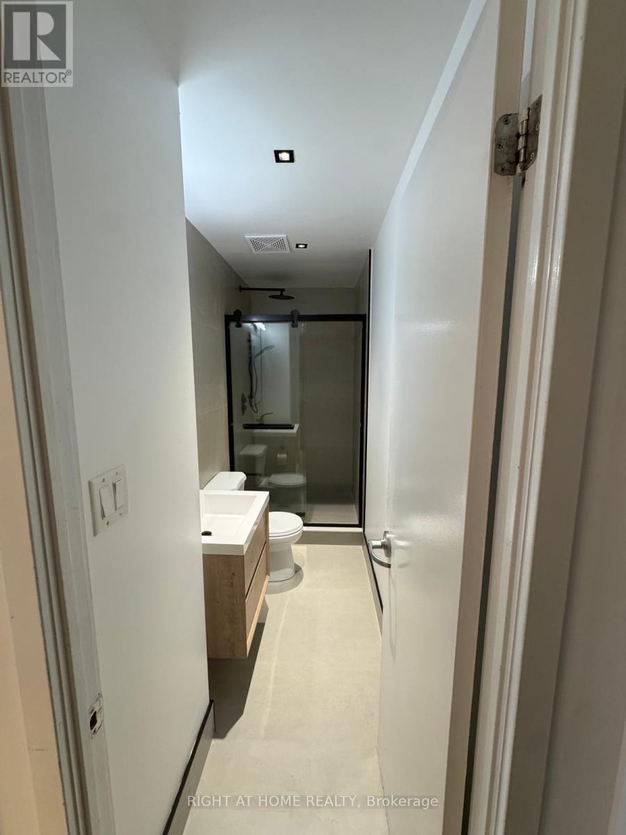 305 - 32 Stewart Street, Toronto, Ontario M5V 1H6 - Photo 10 - C12695810