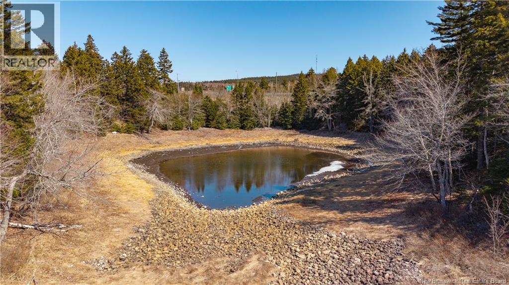 3008 Route 760, Bethel, New Brunswick  E5C 0G2 - Photo 32 - NB137162