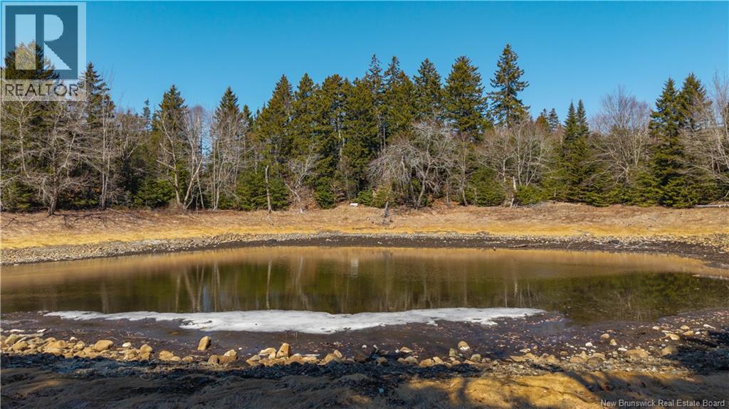 3008 Route 760, Bethel, New Brunswick  E5C 0G2 - Photo 36 - NB137162