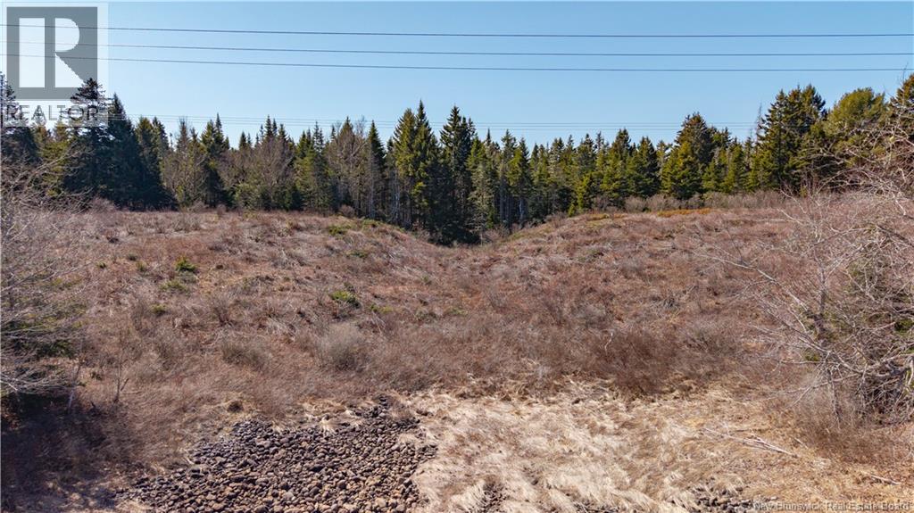 3008 Route 760, Bethel, New Brunswick  E5C 0G2 - Photo 30 - NB137162