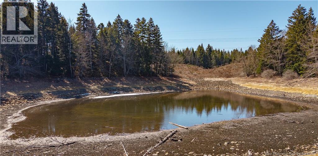 3008 Route 760, Bethel, New Brunswick  E5C 0G2 - Photo 31 - NB137162