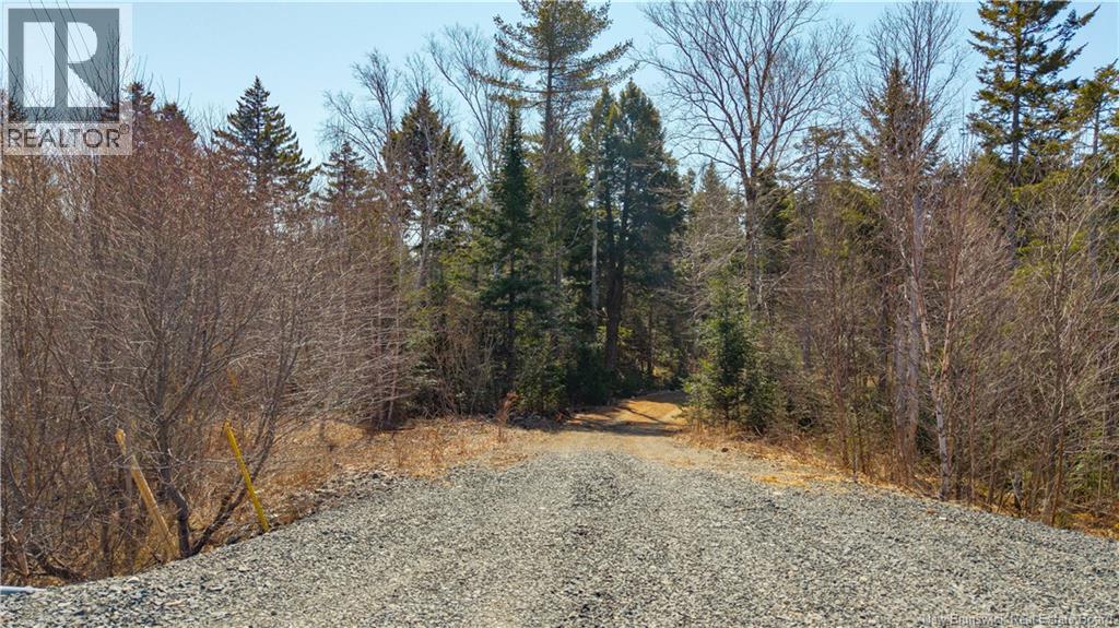 3008 Route 760, Bethel, New Brunswick  E5C 0G2 - Photo 20 - NB137162