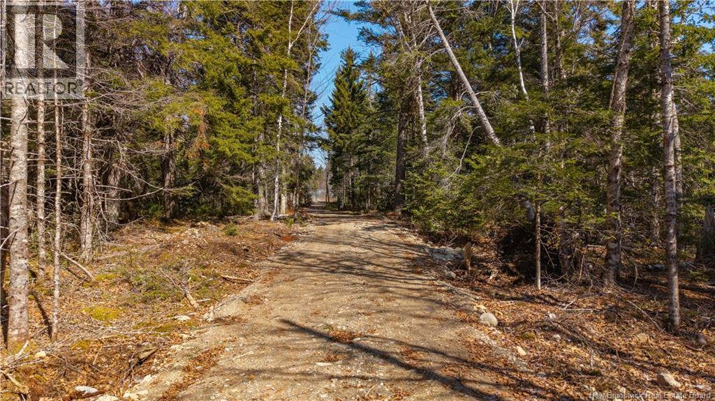 3008 Route 760, Bethel, New Brunswick  E5C 0G2 - Photo 22 - NB137162