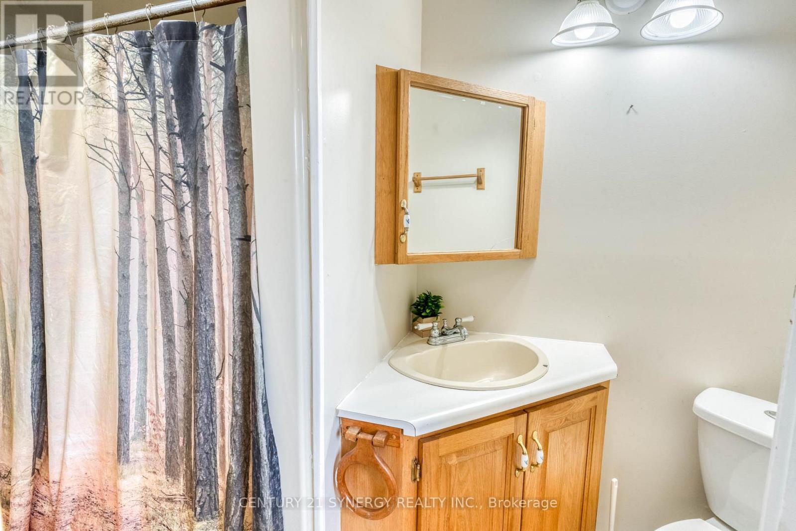 19 South Street S, Perth, Ontario  K7H 2G3 - Photo 21 - X12997580