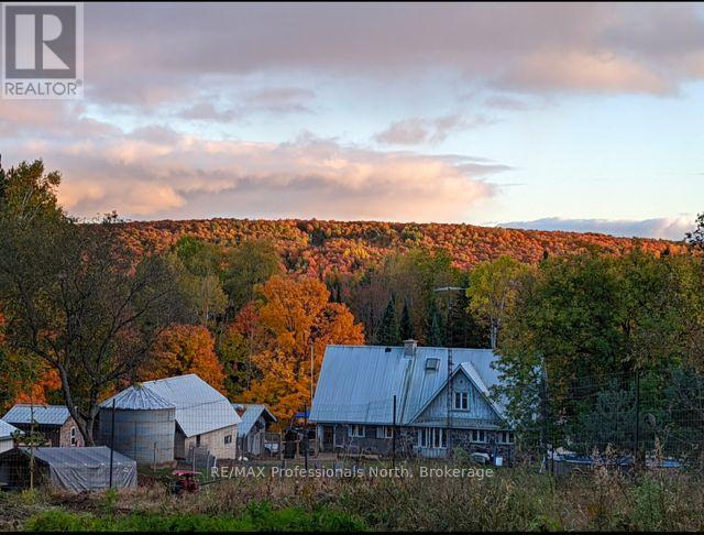 2481 North Shore Road, Algonquin Highlands, Ontario  K0M 1S0 - Photo 36 - X12995318