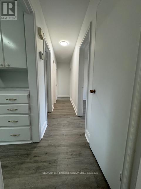 163 Newton Drive, Toronto, Ontario  M2M 2N6 - Photo 11 - C12997688