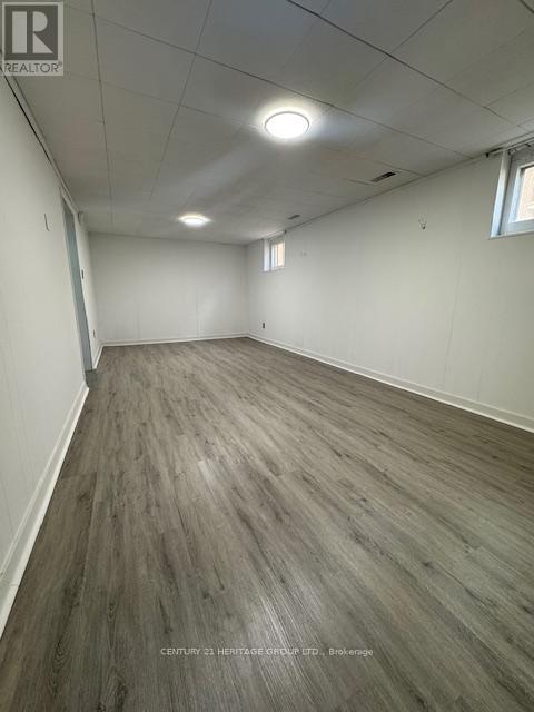 163 Newton Drive, Toronto, Ontario  M2M 2N6 - Photo 19 - C12997688